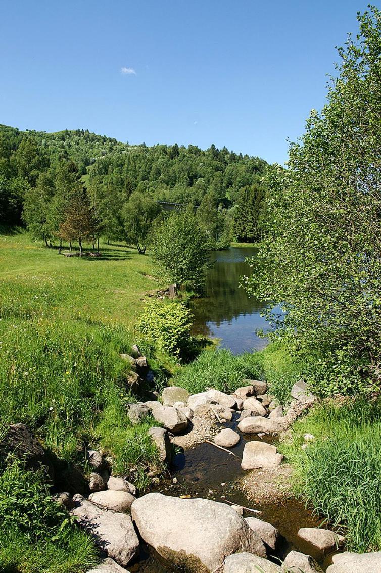 Auberge Alsacienne Бюсан Экстерьер фото