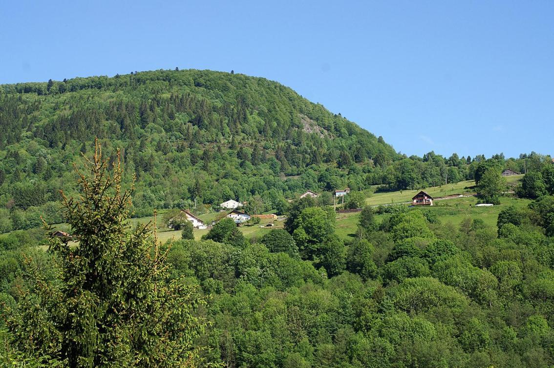 Auberge Alsacienne Бюсан Экстерьер фото